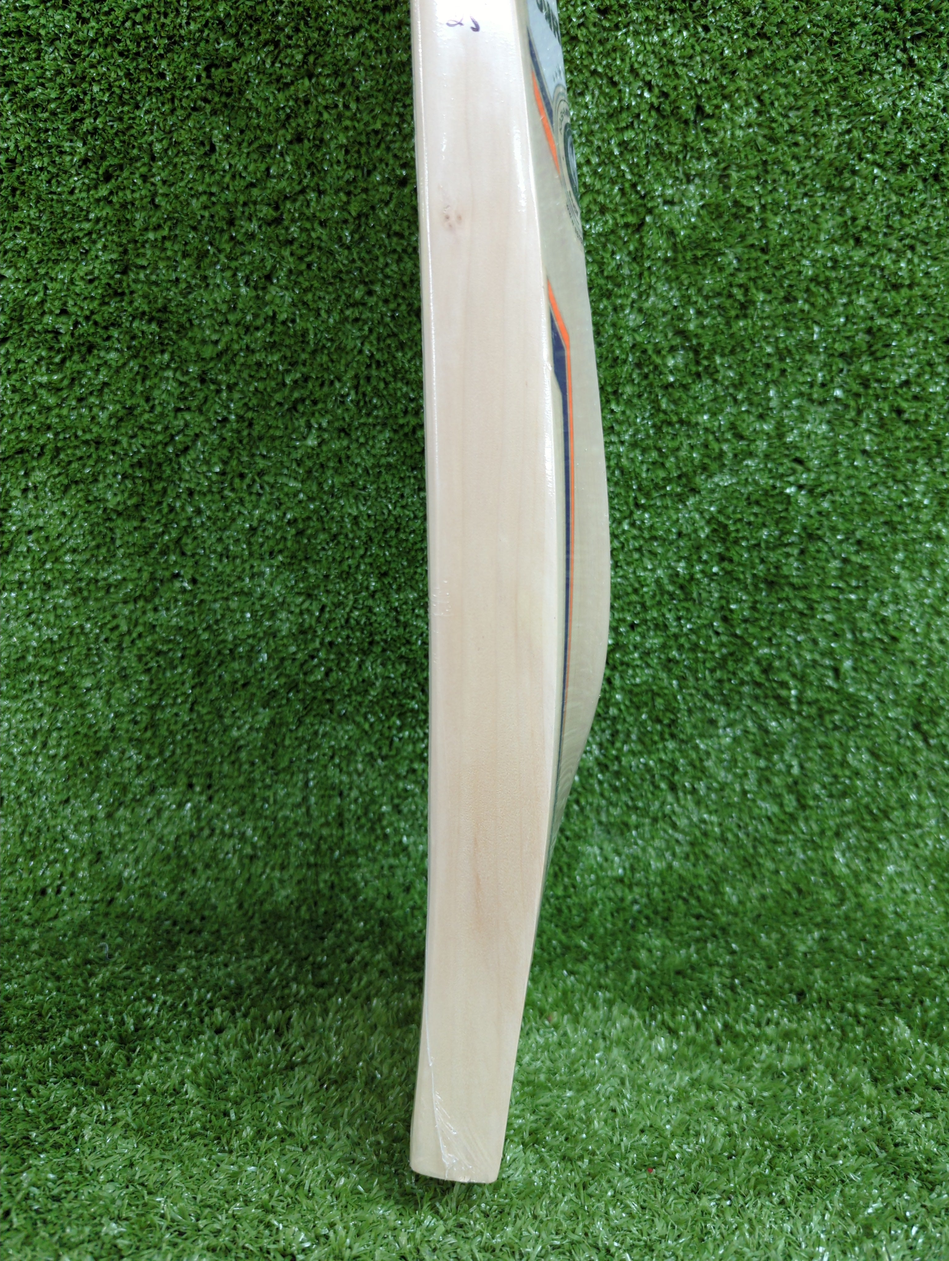 SS Cannon Kashmir Willow Cricket Bat