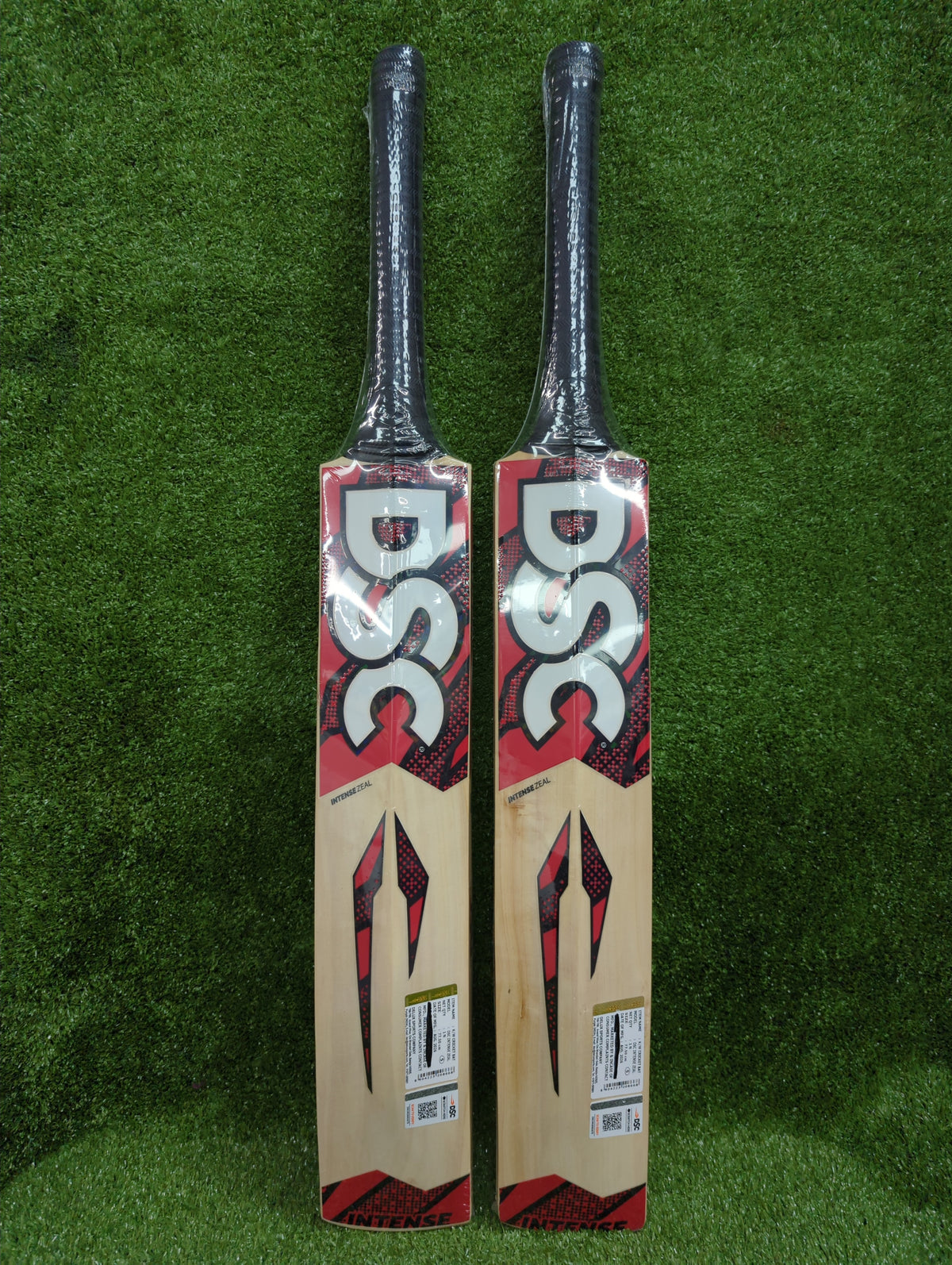 DSC Intense Zeal Junior / Youth Kashmir Willow Cricket Bat DSC