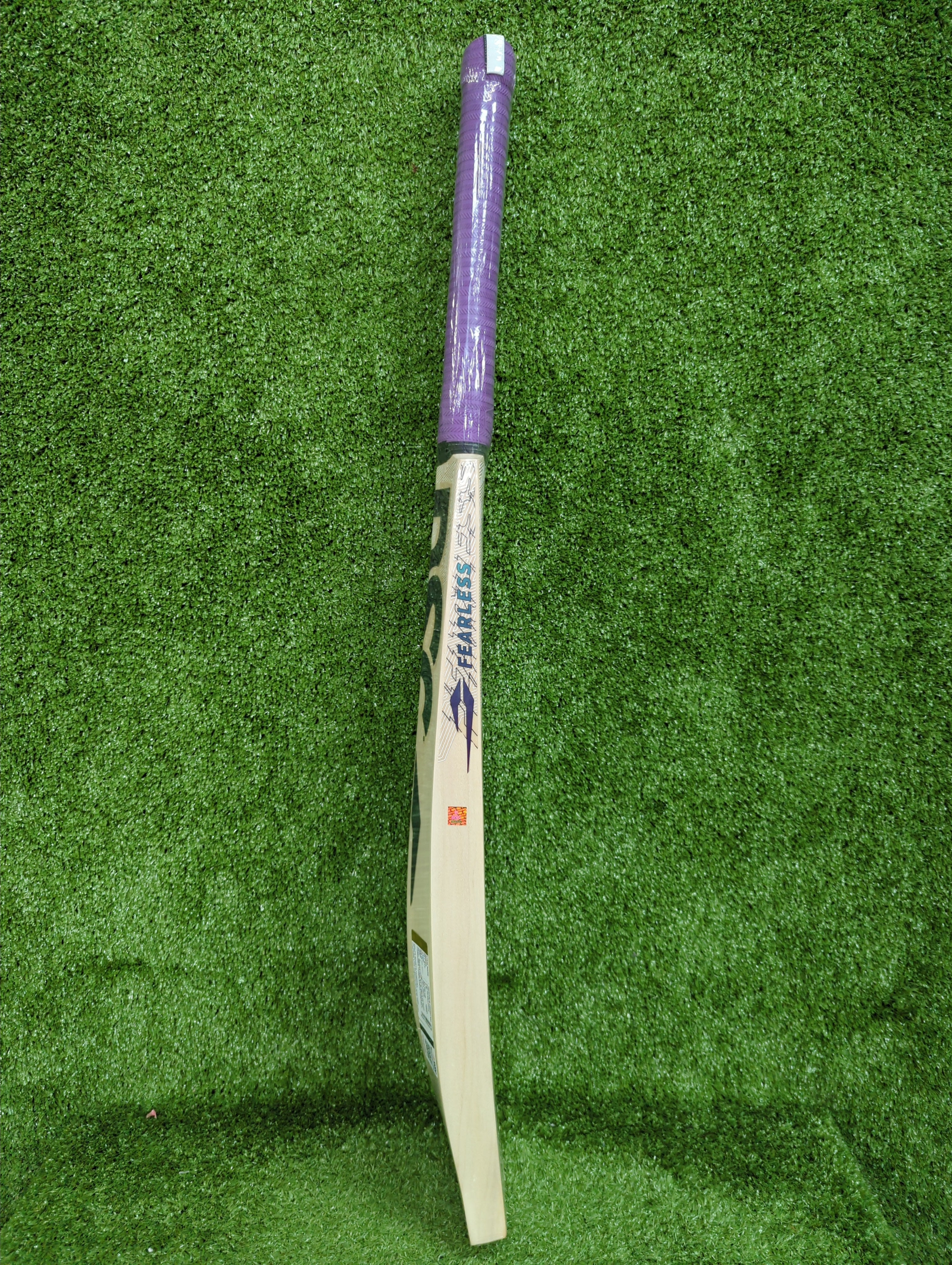DSC RS Exclusiv Kashmir Willow Cricket Bat - Harrow DSC