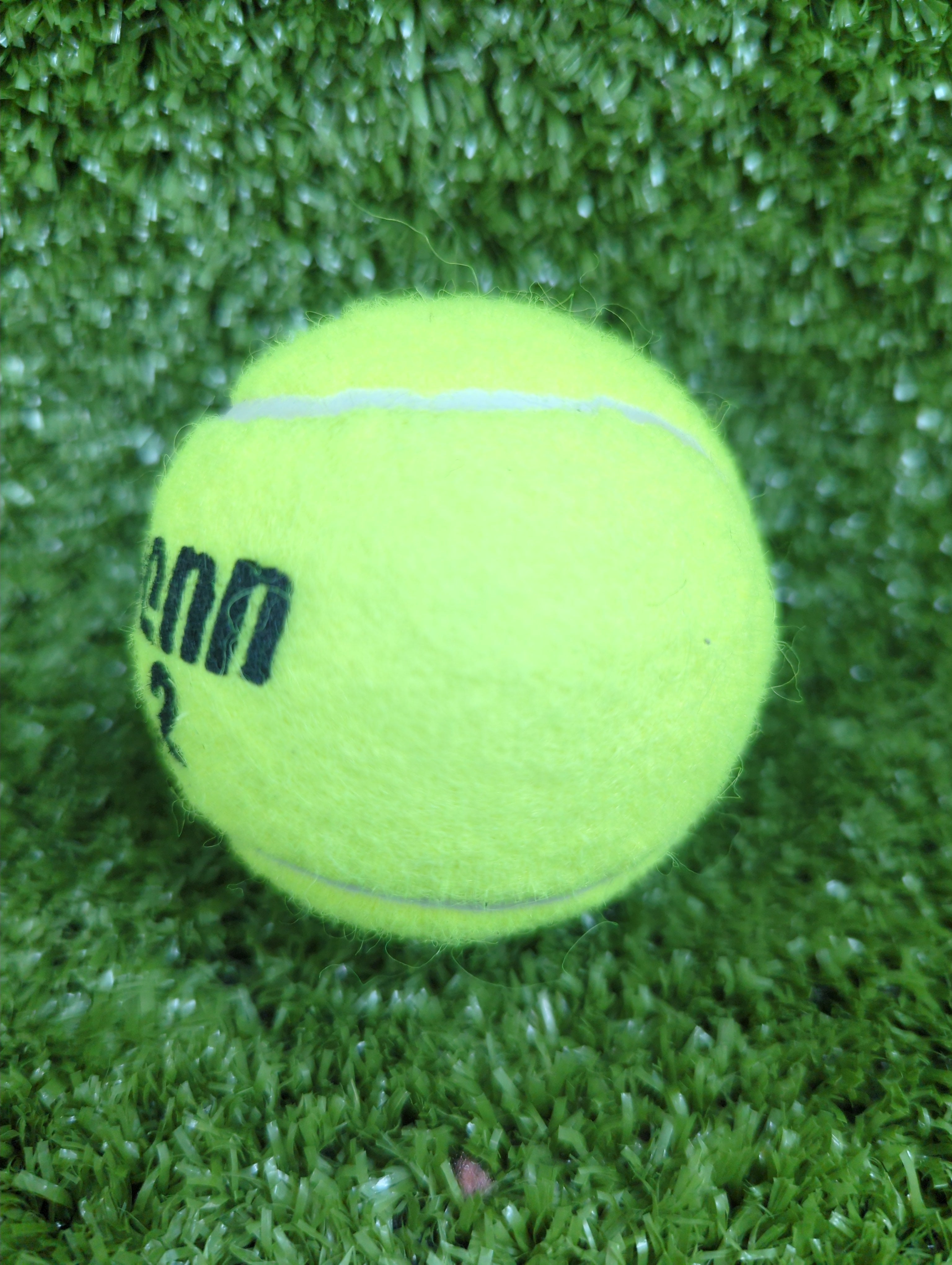 Penn Tennis Ball (Pack of 3)