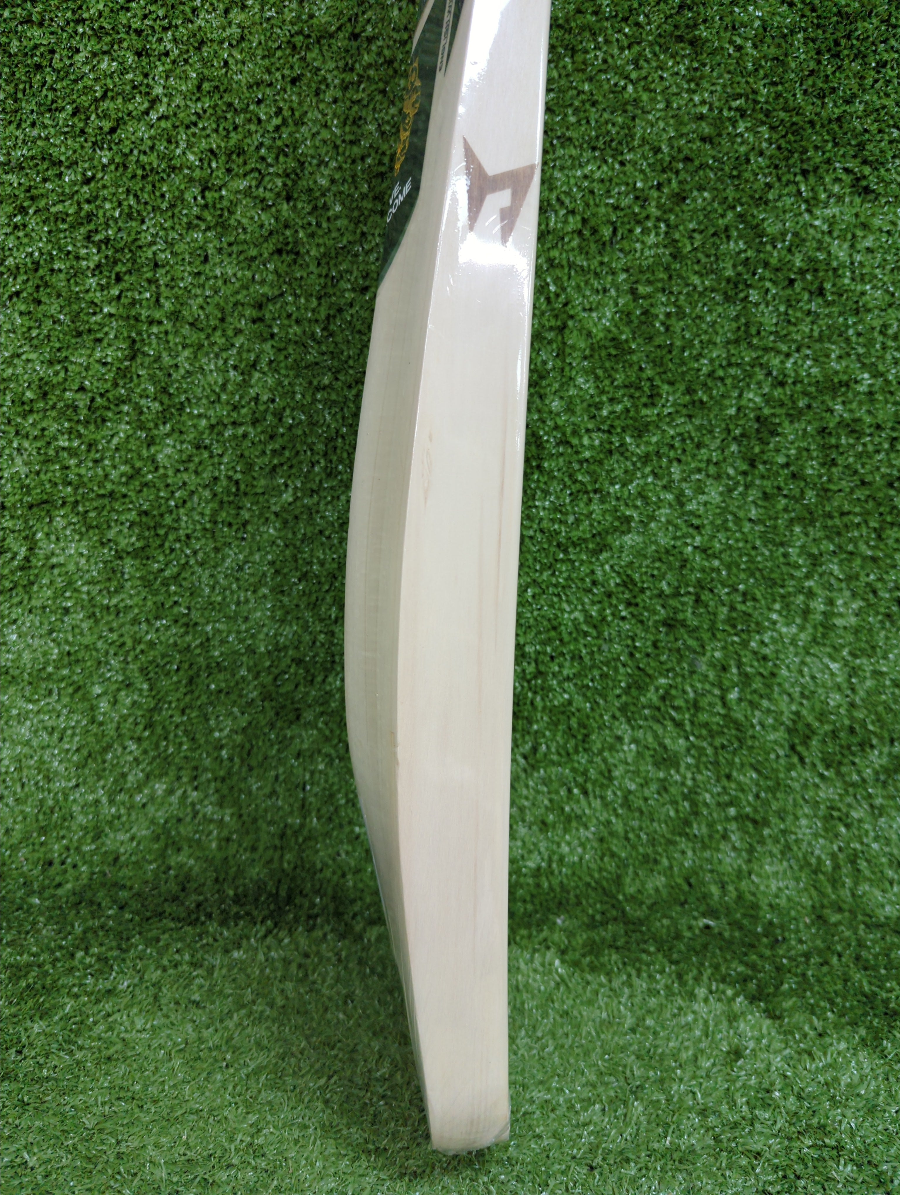SG Kung Fu Pandya (HP33) Original Players Cricket Bat
