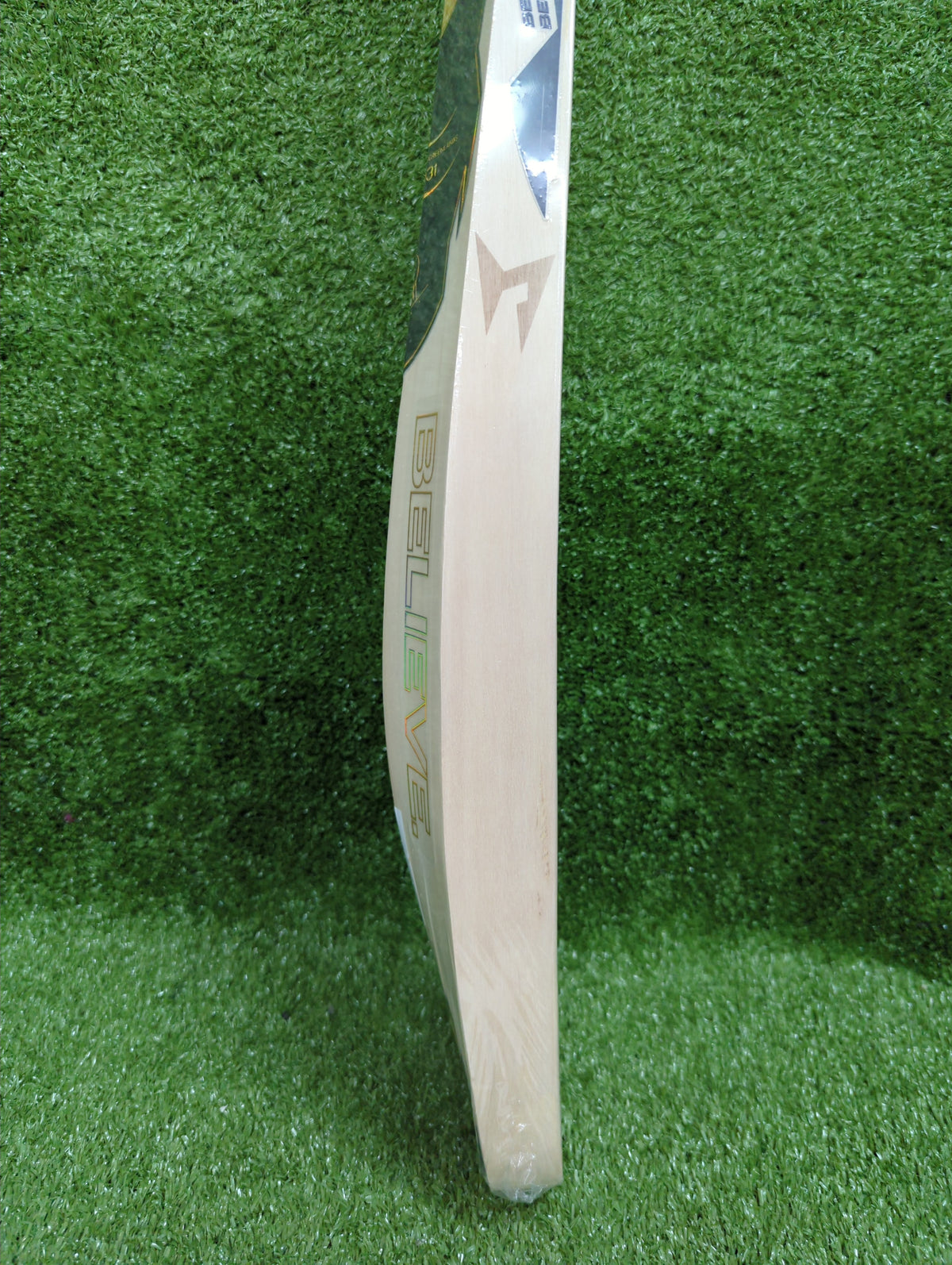 SG HP T-20 English Willow Cricket Bat SG
