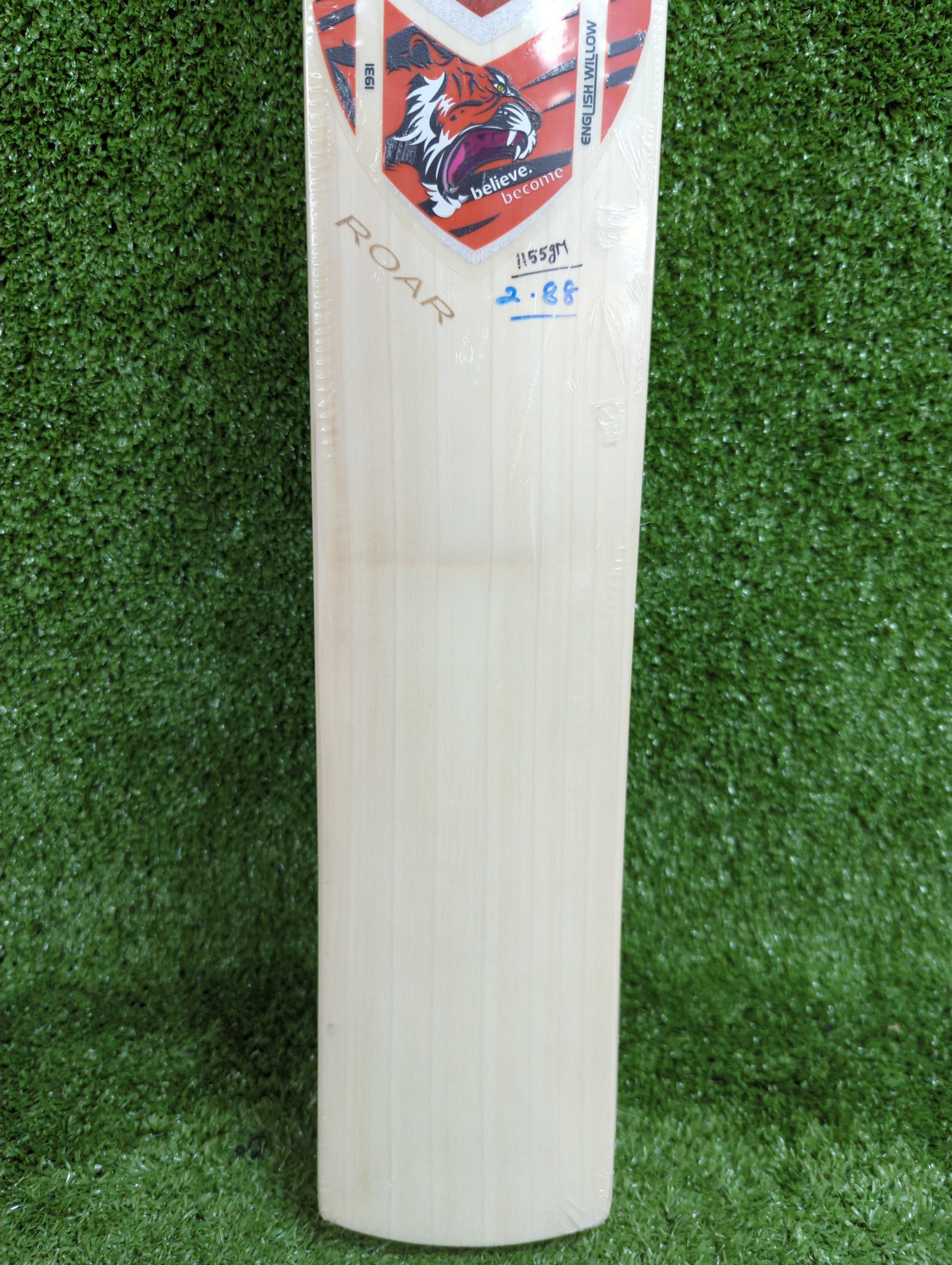 SG Roar English Willow Cricket Bat