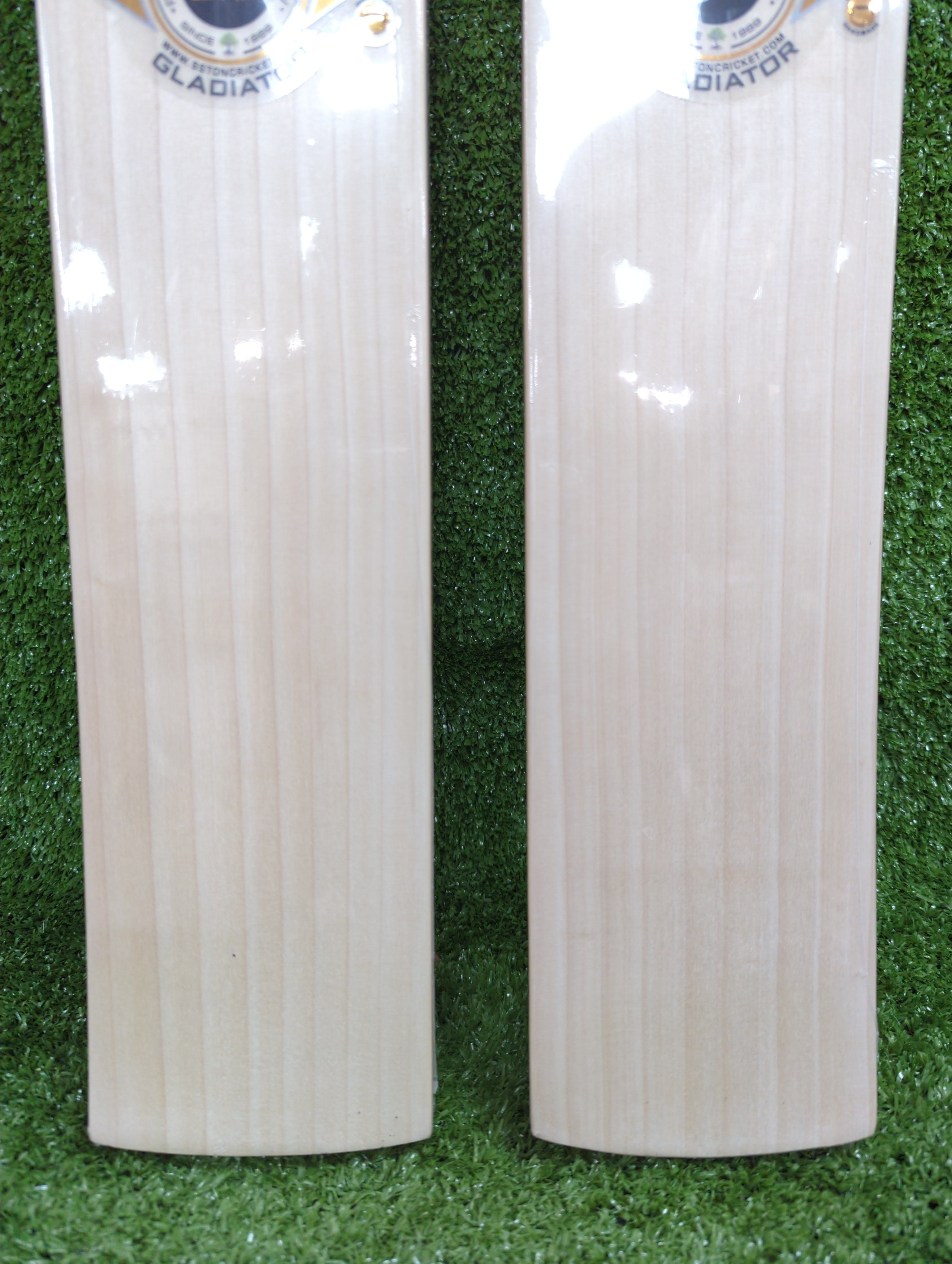 SS Gladiator English Willow Cricket Bat