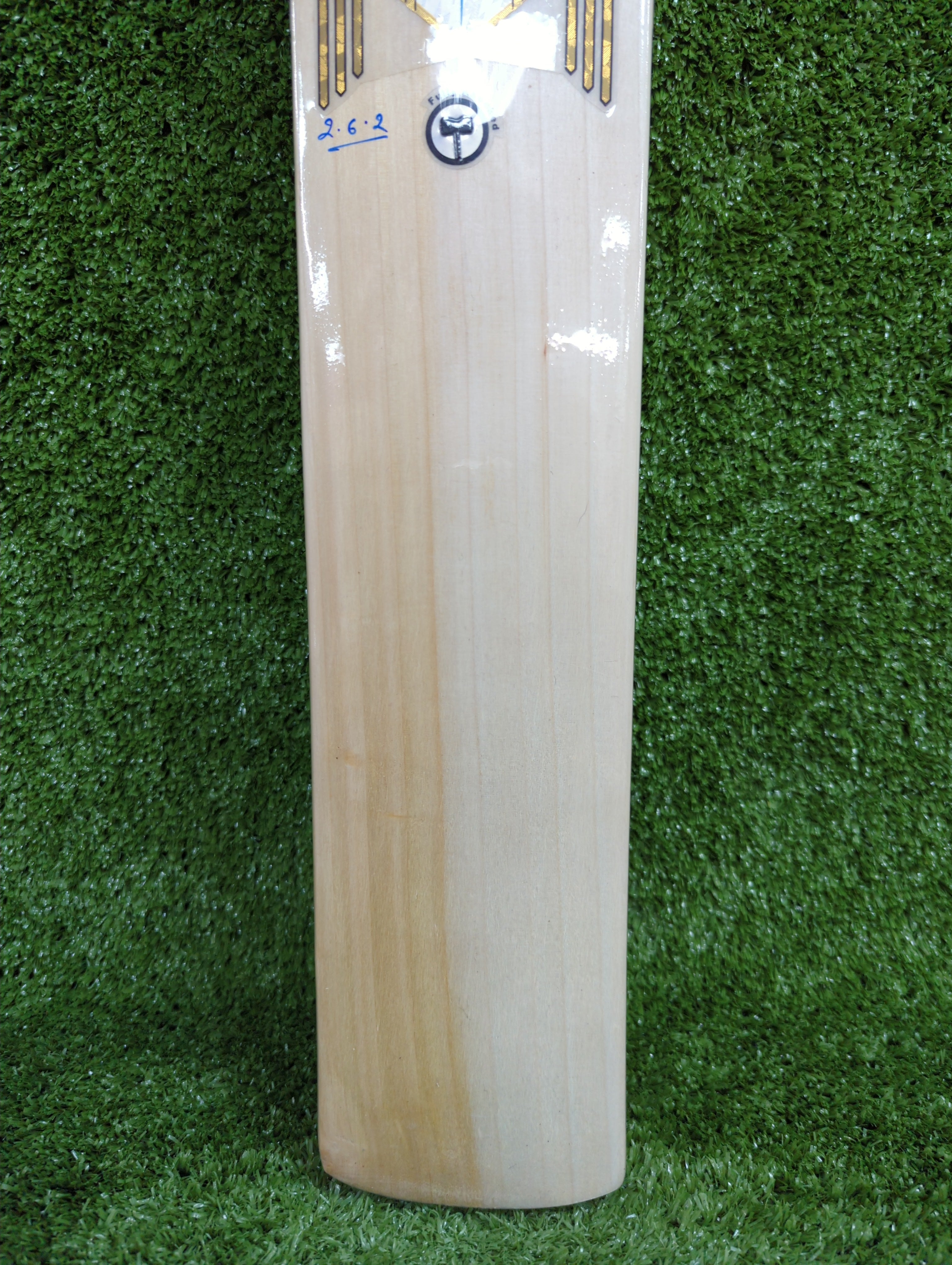 Raydn Gold Junior / Youth Premium English Willow Cricket Bat - PRE KNOCKED