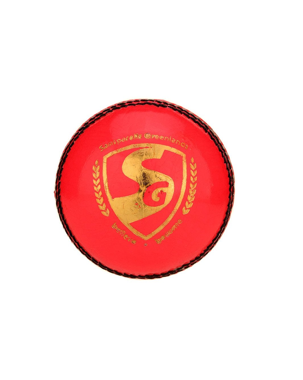 SG Club - Pink Cricket Leather Ball