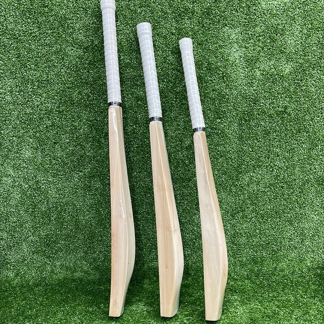 Raydn Middling Technical Leather Ball Practice Cricket Bat (iBat) Juni