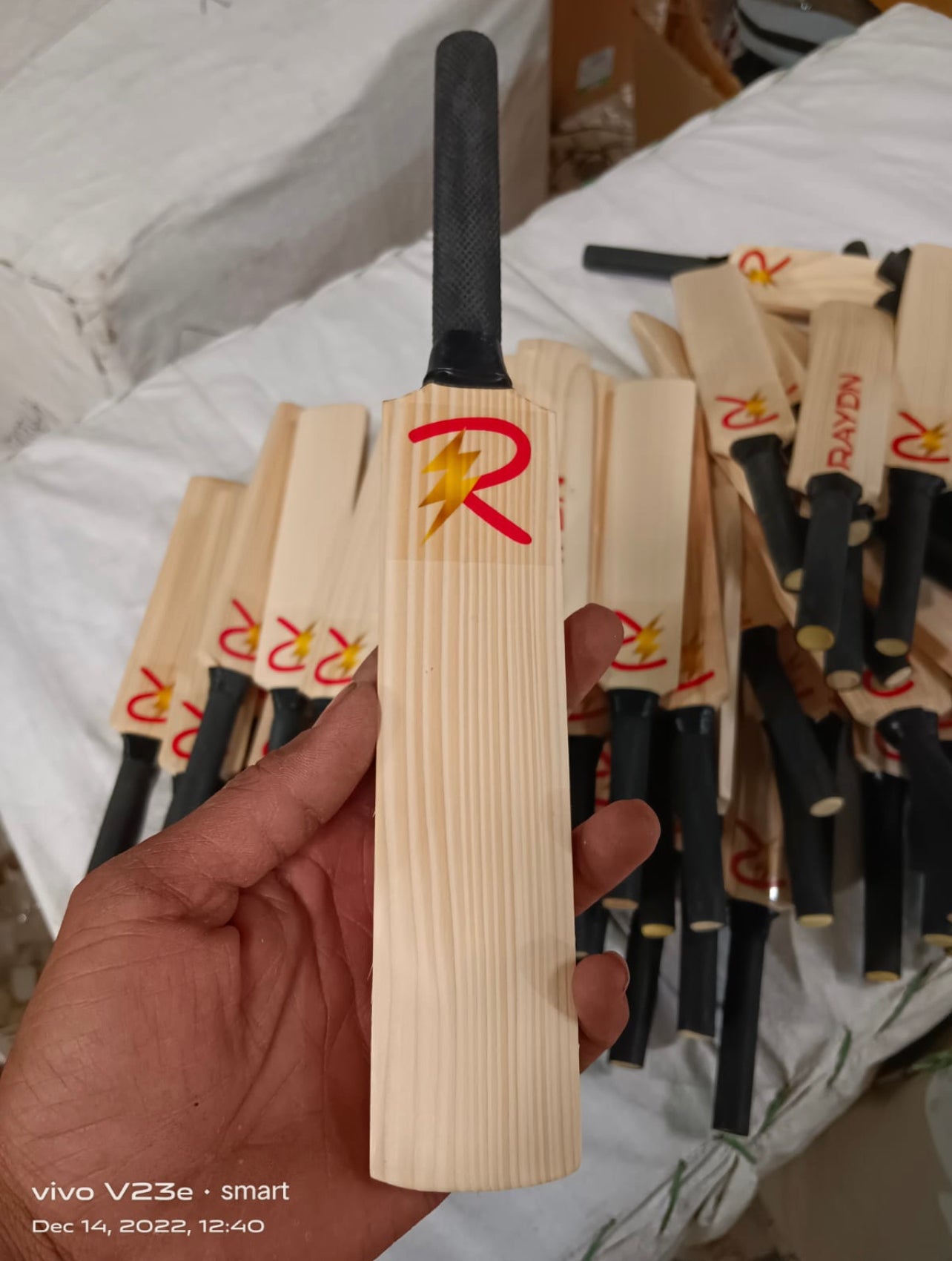 Raydn Autograph Mini Cricket Bat