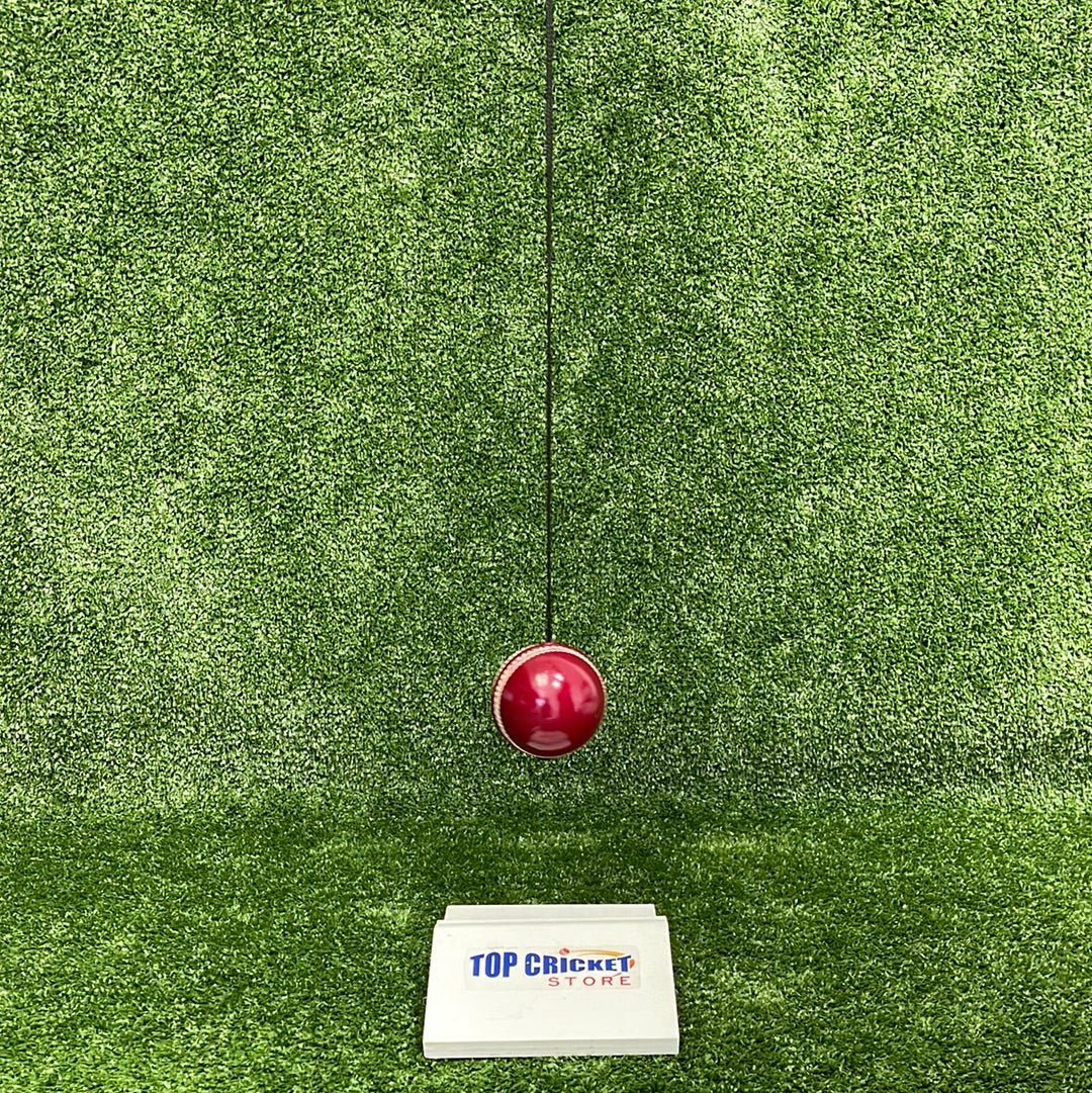 Hanging String Leather Cricket Training Ball