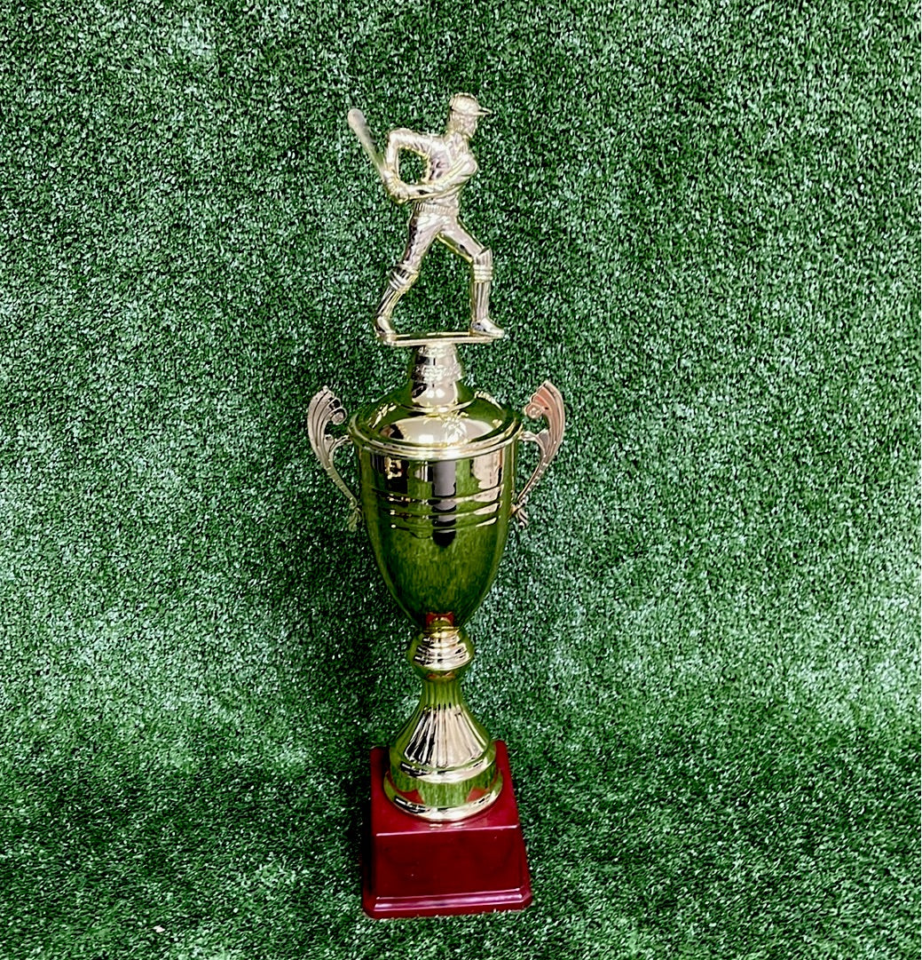 Raydn Cricket Trophy with Player Batting (20 inches)