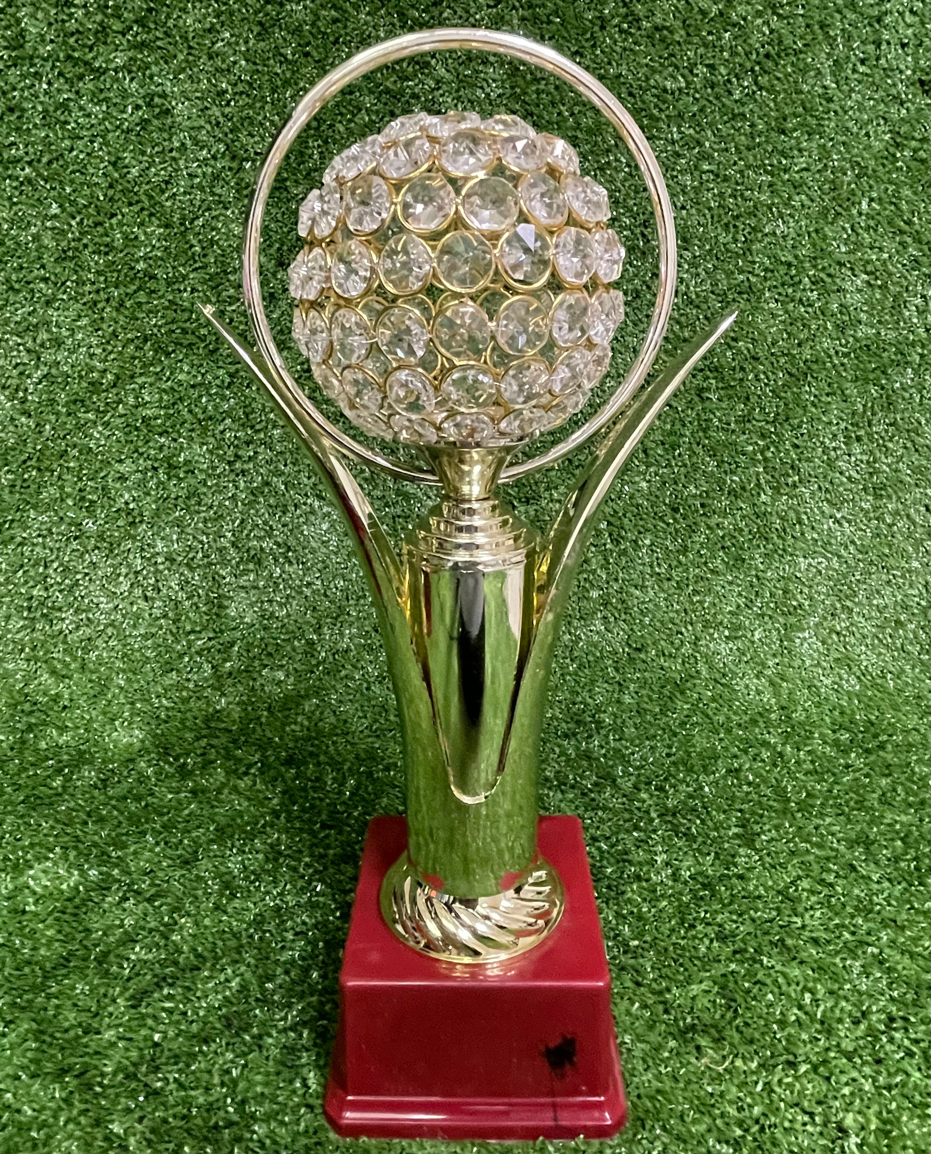 Cricket Trophy With Globe(15 inches height)