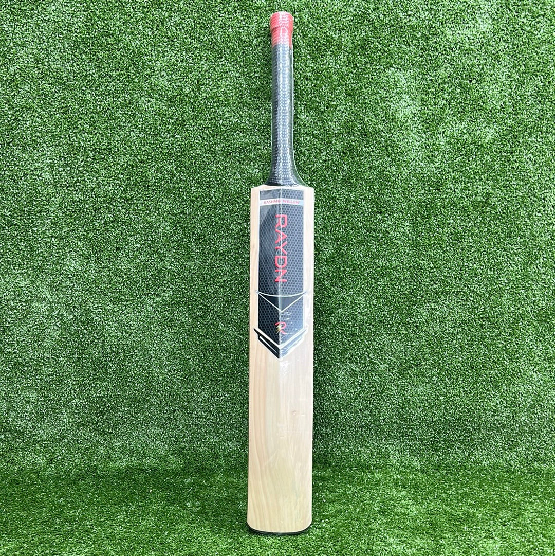 Raydn Steel (MS Dhoni Profile) Kashmir Willow Light Weight Junior Tennis Ball Cricket Bat