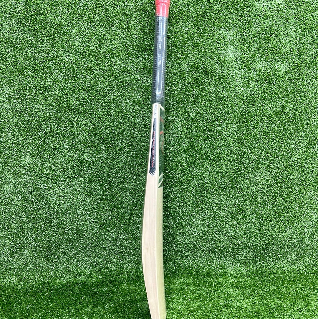 Raydn Steel (MS Dhoni Profile) Kashmir Willow Light Weight Junior Tennis Ball Cricket Bat