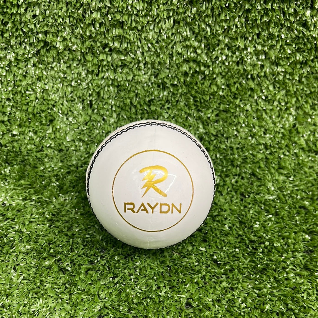 Raydn Club White Cricket Leather Ball